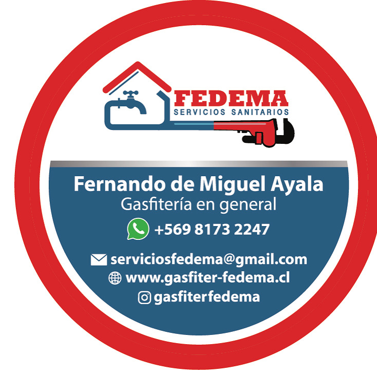 Servicios Fedema spa